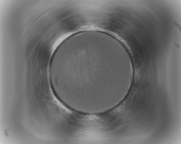 X0000102041239200808151359