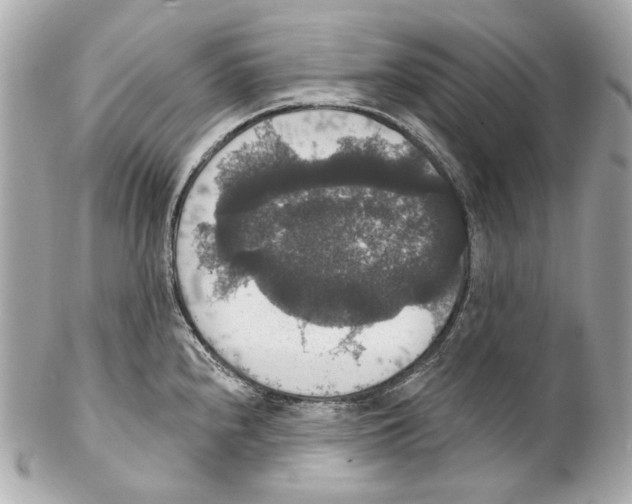 X0000102041240200808151359