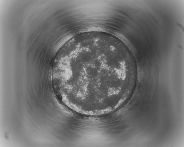 X0000102041241200808151359