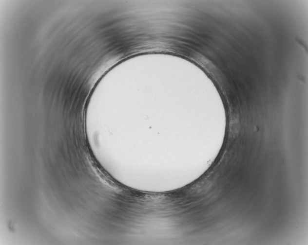 X0000102041242200808151359