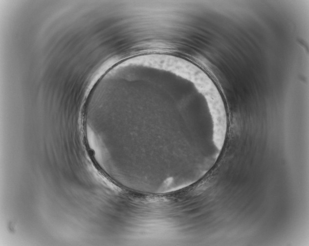 X0000102041243200808151359