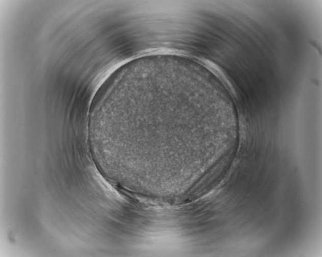 X0000102041244200808151359