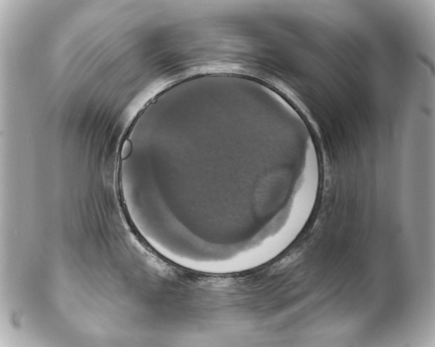 X0000102041245200808151359