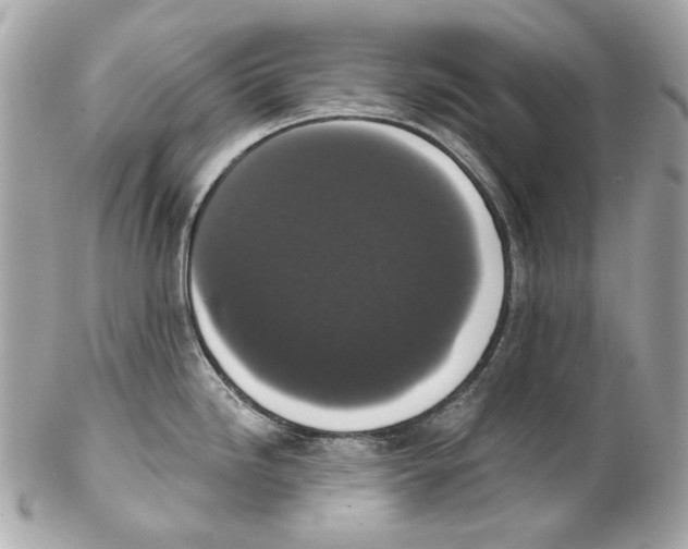 X0000102041246200808151359