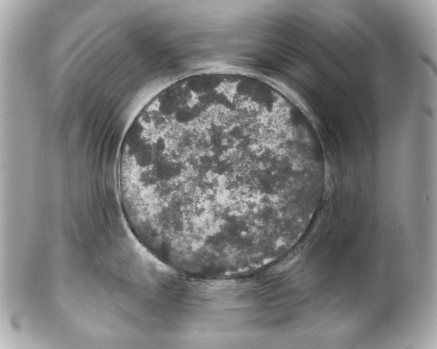 X0000102041247200808151359
