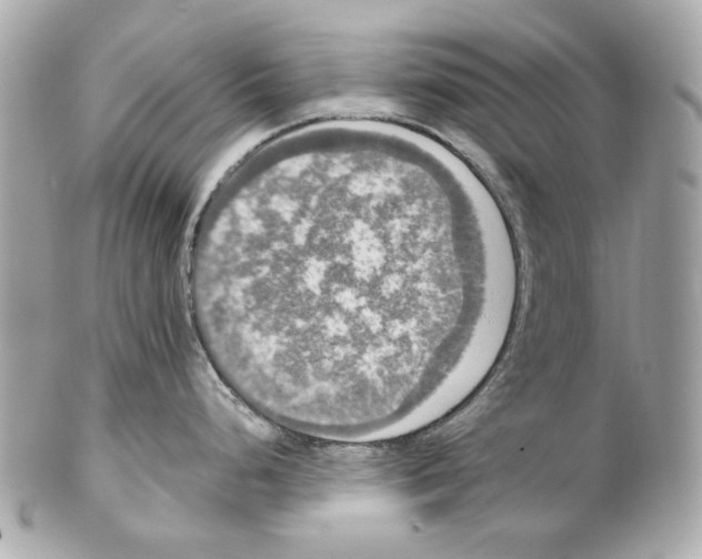 X0000102041248200808151359