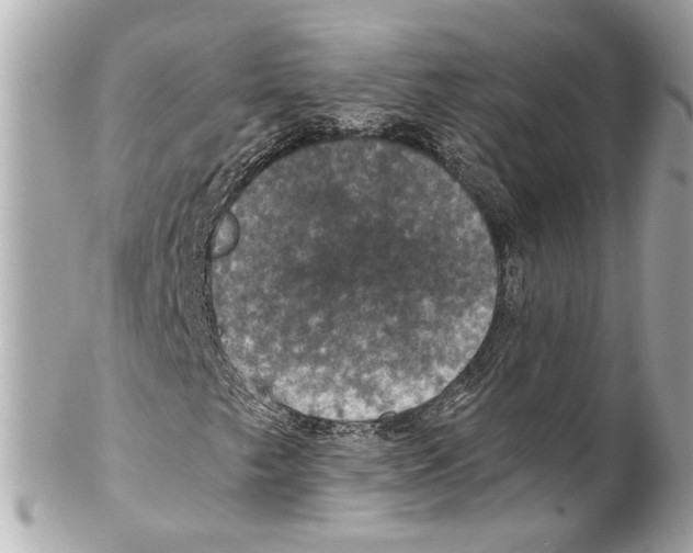 X0000102041249200808151359