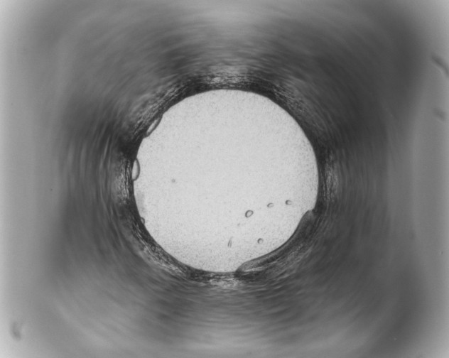 X0000102041250200808151358