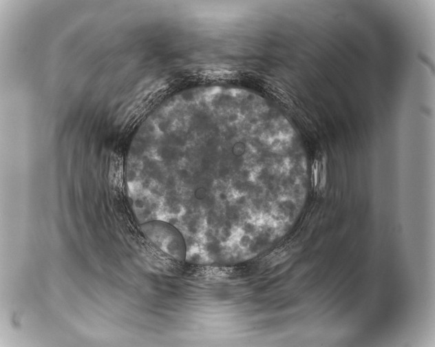X0000102041251200808151358