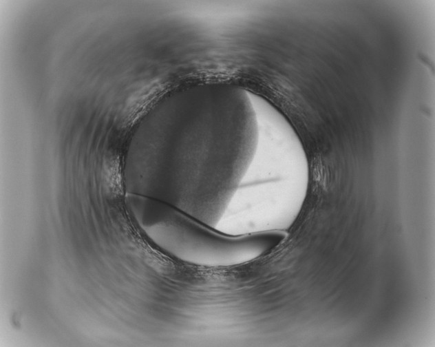 X0000102041252200808151358