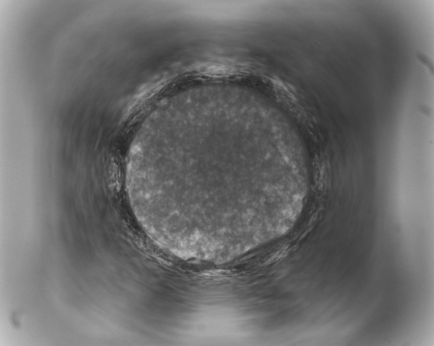 X0000102041253200808151358