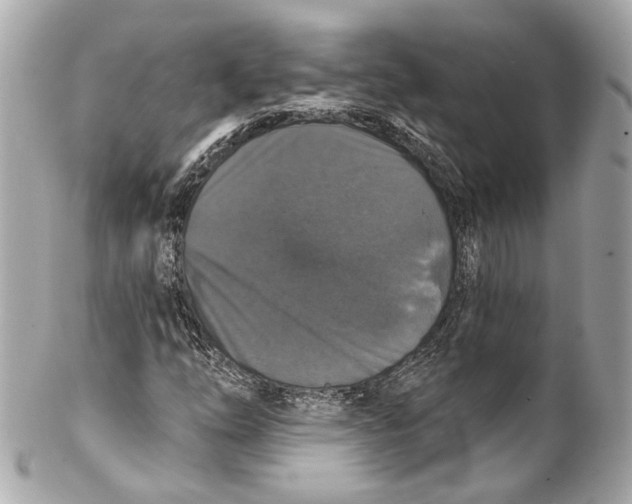 X0000102041254200808151358