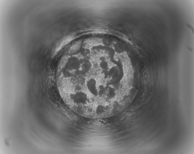 X0000102041255200808151358