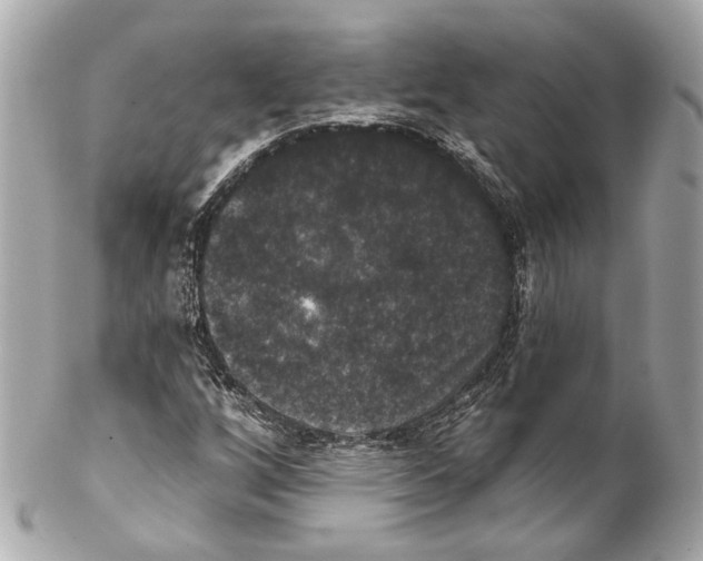X0000102041256200808151358