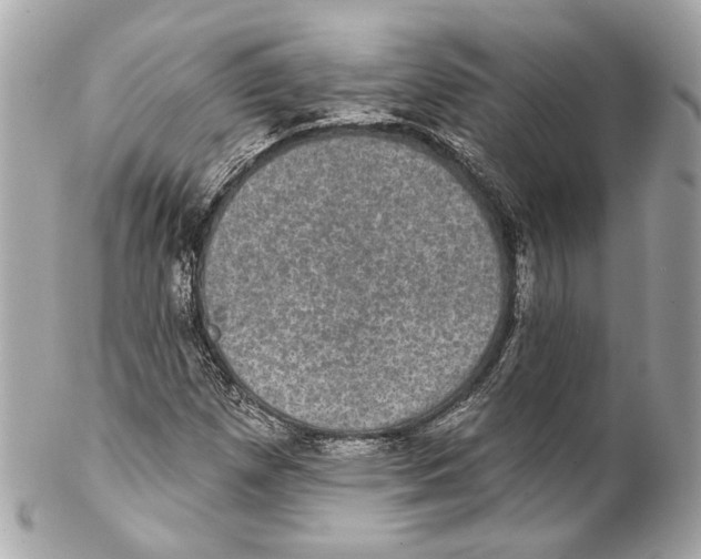 X0000102041257200808151358
