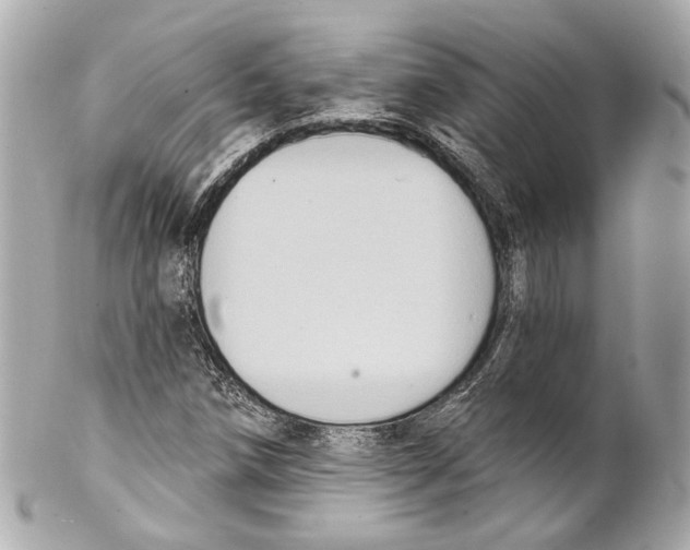 X0000102041258200808151358