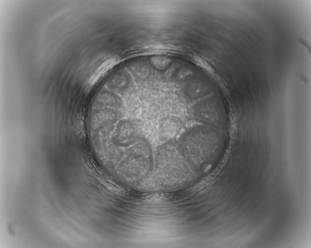 X0000102041259200808151358