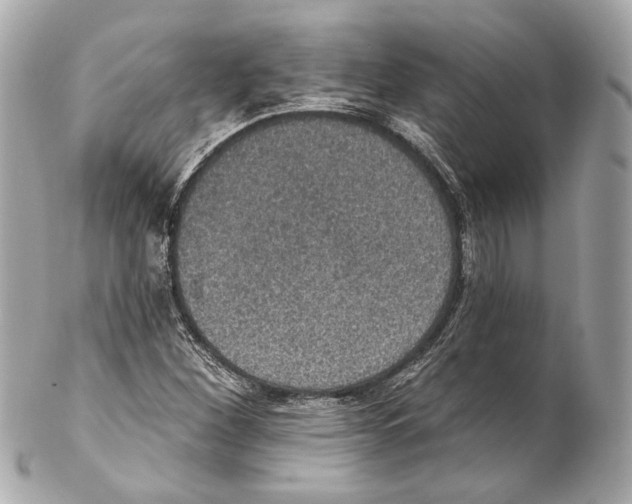 X0000102041260200808151358