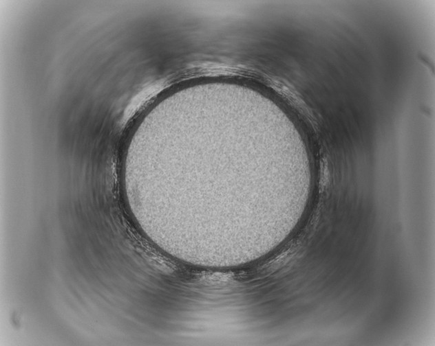 X0000102041261200808151358