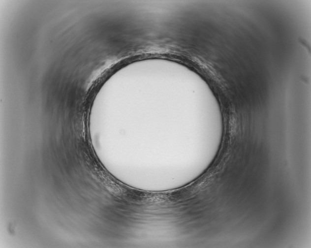 X0000102041262200808151358