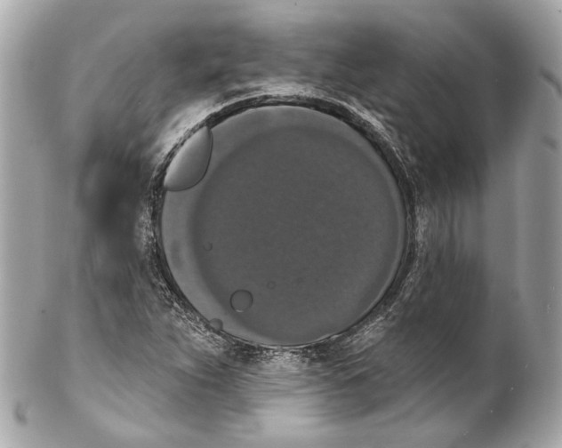 X0000102041263200808151358