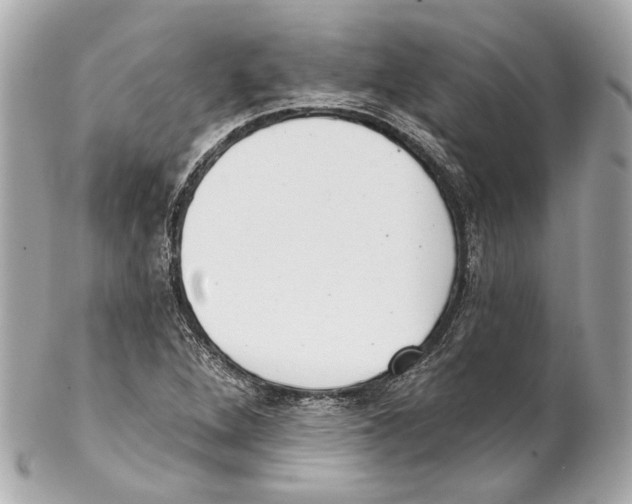 X0000102041264200808151358