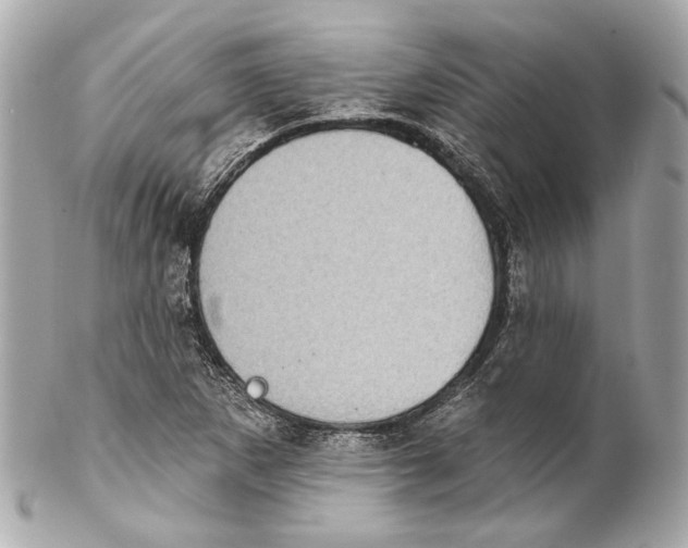 X0000102041265200808151358