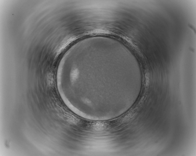 X0000102041266200808151358
