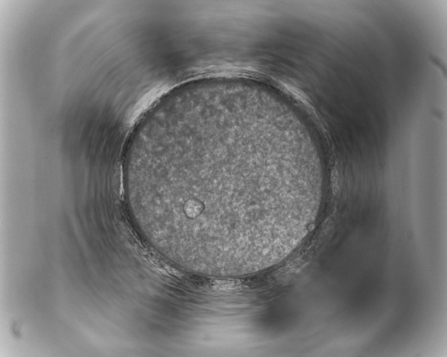 X0000102041267200808151358