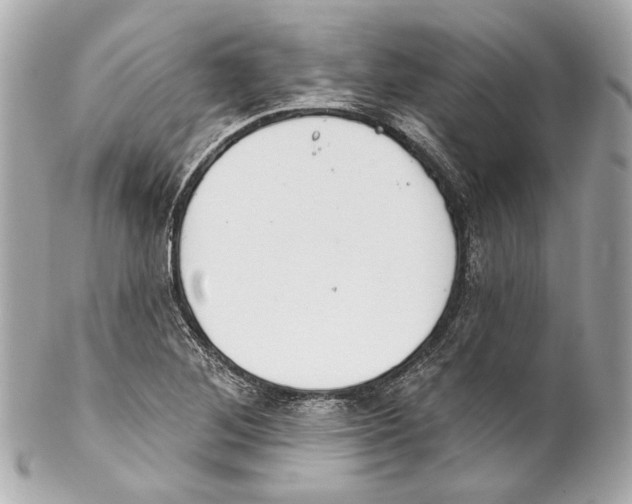 X0000102041268200808151358