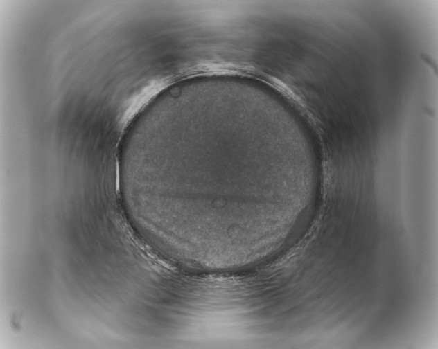 X0000102041269200808151358