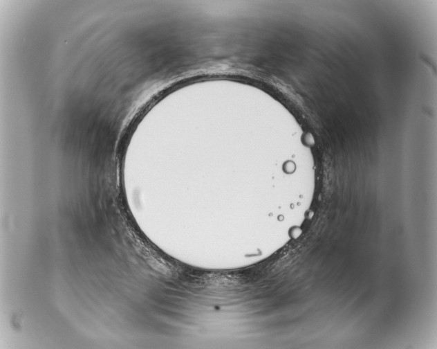 X0000102041270200808151358