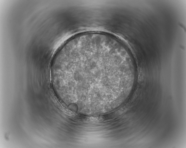 X0000102041271200808151358