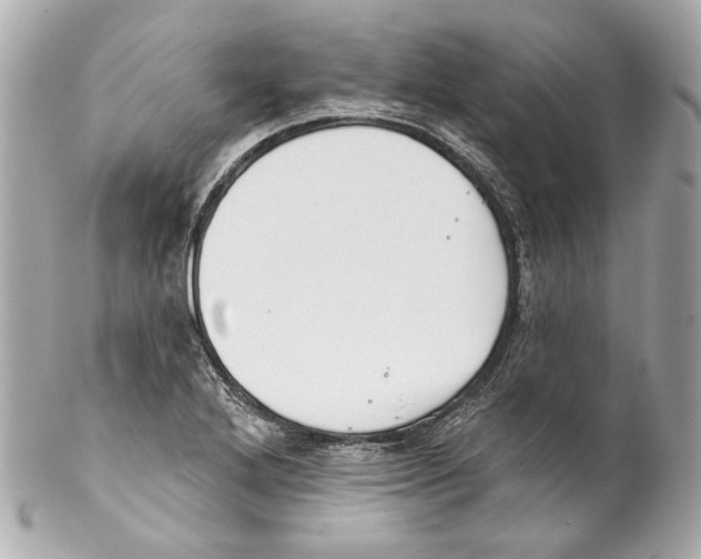 X0000102041272200808151358