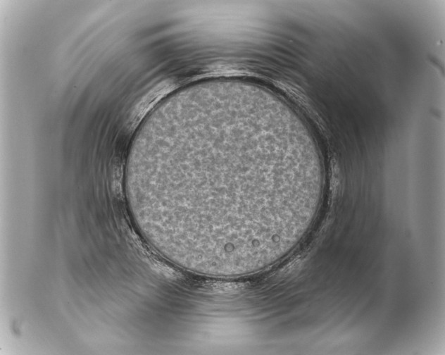 X0000102041273200808151358