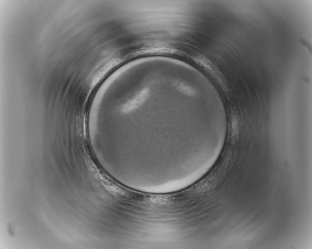 X0000102041274200808151358