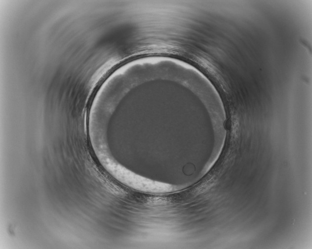 X0000102041275200808151358