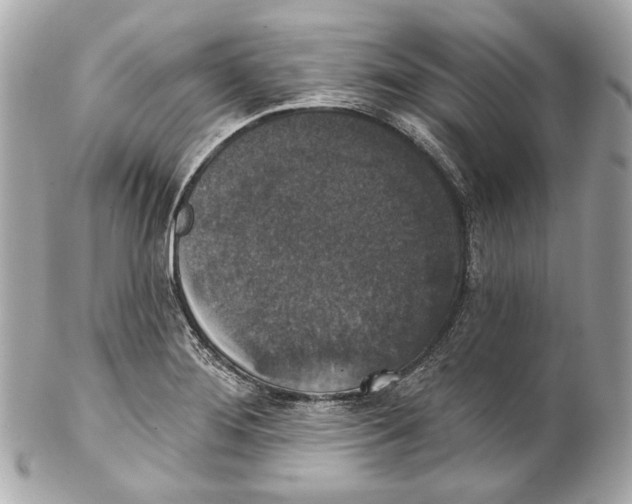 X0000102041276200808151358