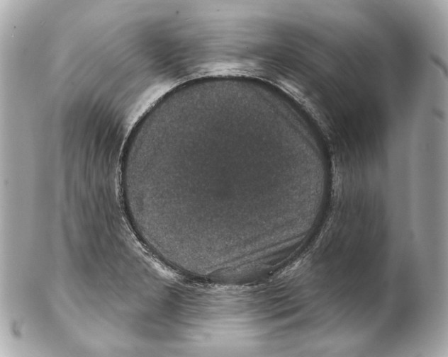 X0000102041277200808151358