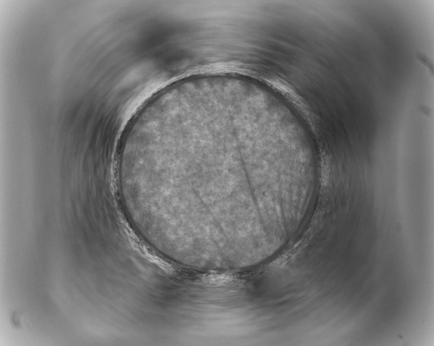 X0000102041278200808151358