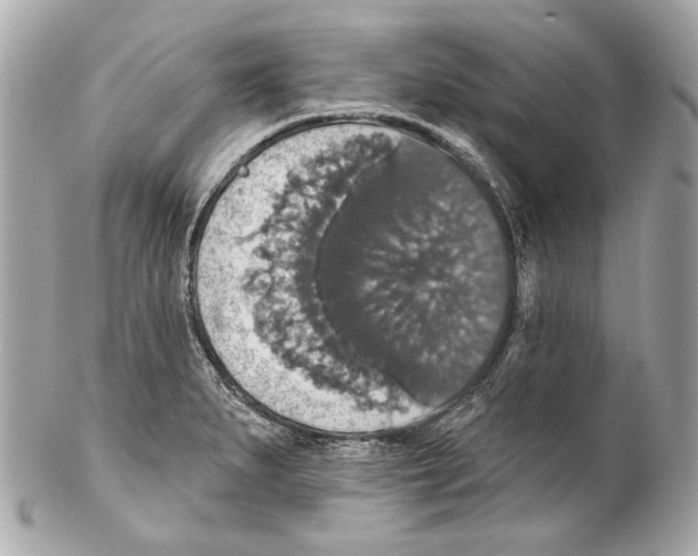 X0000102041279200808151358