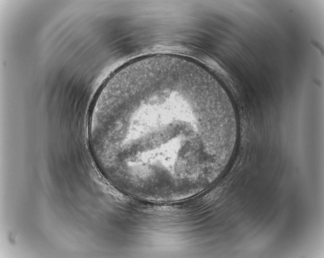 X0000102041280200808151358