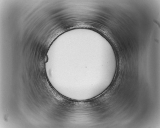 X0000102041281200808151358