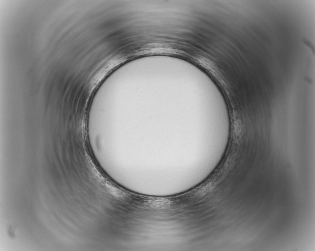 X0000102041282200808151358