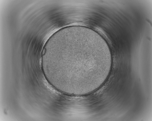 X0000102041284200808151358