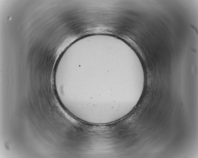 X0000102041285200808151358