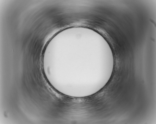 X0000102041286200808151358