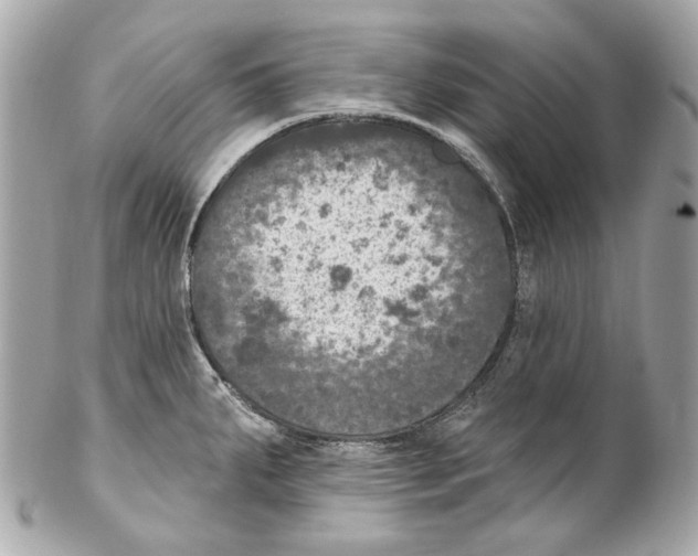 X0000102041287200808151358