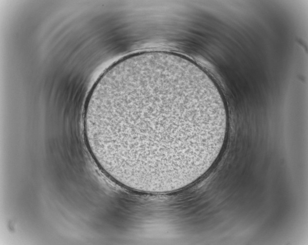 X0000102041288200808151358