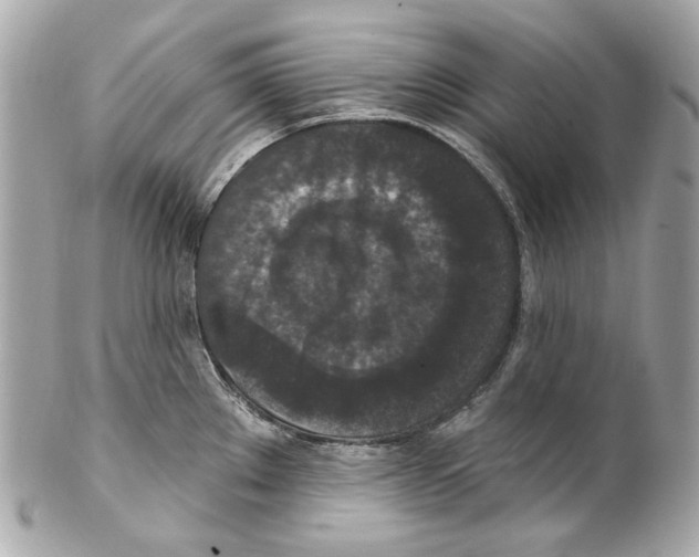 X0000102041289200808151358